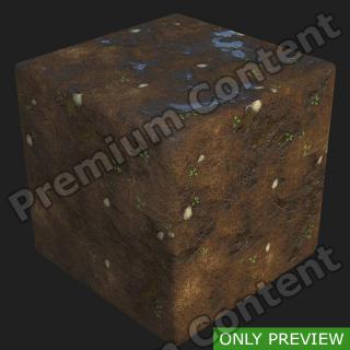 PBR substance preview forest ground wet 0001